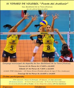 Cartel del torneo de voley que se celebra en San Bartomolé.