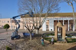 Labores de limpieza y poda en Palos de la Frontera. 