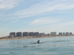 Navegando muy cerca de la línea de playa de Punta Umbría. / Foto: Alejandro Gómez.