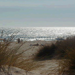Playa de Mata del Difunto, situada en Doñana. 