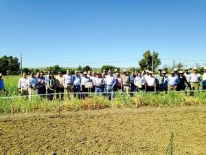 Medio centenar de agricultores en las Jornadas de Campo de Escacena. 