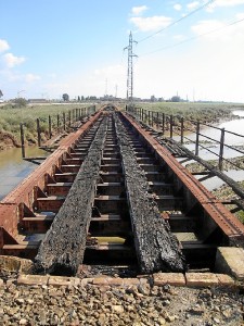 Puente de la Ribera de Nicoba.