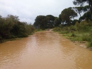 Un camino del entorno de Moguer tras la lluvia. 