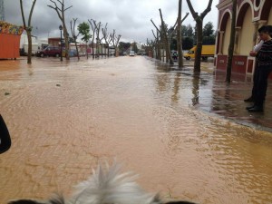 Imagen del Recinto Ferial de Moguer. 