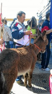 El burrito Platero que les acompaña en el camino. 