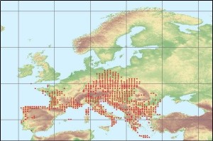 Distribución de la musaraña campesina, destacando Huelva al sur de España. 