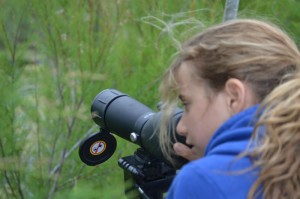 Los jóvenes del entorno del Paraje Natural Marismas del Odiel han podido acercarse a esta Reserva de la Biosfera  y familiarizarse con el mundo de las aves a través de actividades con juegos y talleres.