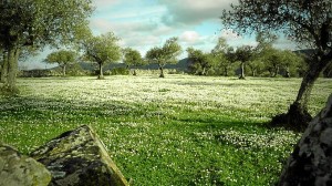 El campo florece con el inicio de la primavera.