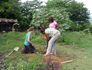 Una actividad de los voluntarios internacionales.