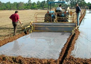 La técnica de biosolarización consiste en la utilización de distintoa materiales orgánicos. 