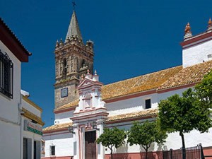 Las tierras de Escacena son muy ricas en potasa, lo que aporta un sabor único a esta leguminosa. 