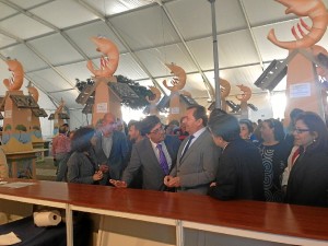 El alcalde puntaumbrieño, Gonzalo Rodríguez Nevado, ha inaugurado la feria acompañado del vicepresidente de la Junta de Andalucía, Diego Valderas, entre otras autoridades.