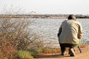 José Manuel Sayago, uno de los conservadores del Paraje Natural Marismas del Odiel