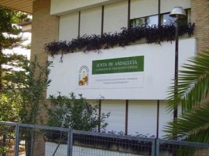 El CEIP Virgen de Montemayor está de anivesario. 