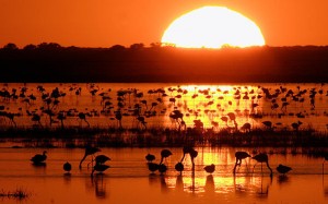 Una imagen del amanecer en Doñana. / Foto: Turismo Huelva. 