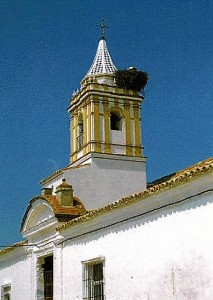 El interior del edificio acoge también pinturas murales, principalmente en los tramos laterales del crucero, con gran variedad tipológica, estilística e iconográfica. 