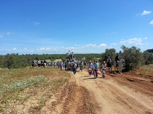 Camino Hinojos