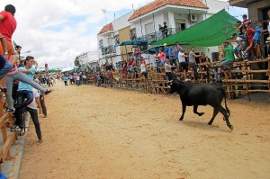 Reses de Hijos de Celestino Cuadri ponen punto y final a las capeas de San Juan.