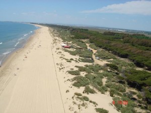 Playas de Isla Cristina.