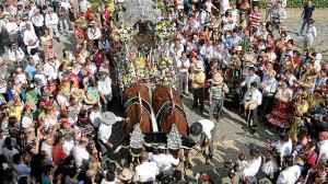 El carretón de Moguer va tirado por bueyes. 