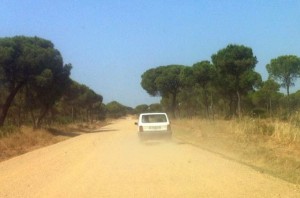 Este será el coche que llevarán Carlos y su compañero. 