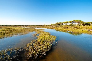 Las características físicas de Huelva explican que tenga una luz única. 