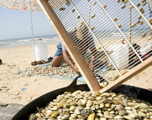 El ámbito de actuación de esta campaña de sensibilización abarca la costa de Huelva y las localidades gaditanas de Sanlúcar de Barrameda y Chipiona,.