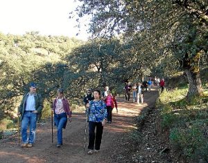 Ediciones pasadas de las rutas de senderismo.