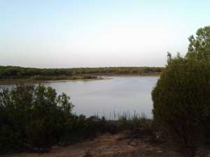 La exposición está en El Portil. 