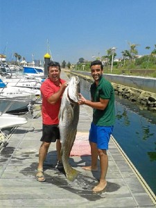 Corvina39kilos