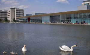 Una imagen del lago de los patos del High Tech Campus de Eindhoven, donde trabaja Cinta. / Fuente: High Tech Campus