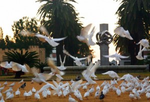 Premio en Huelva capital.