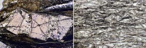 Aspectos al microscopio de diversas rocas del área estudiada: Cristal de quiastolita estirado con grietas rellenas de cuarzo y pizarra con cristales de cloritoide.