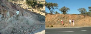 Fotografías de algunos de los miembros del equipo de trabajo en el campo. A: Elena Mantero (Univ. Huelva). B: Elena Mantero, Luis M. Martín Parra (IGME) y Ricardo Palomino (IGME). C: Jerónimo Matas (IGME). D: Jerónimo Matas y Juan Carlos Gutiérrez-Marco (CSIC). E: Jerónimo Matas y Luis M. Martín Parra. F: Félix Bellido.