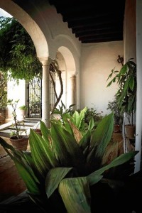 Visita al Palacio de Medina Sidonia. 