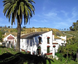 Una imagen del cortijo que alberga la destilería. 