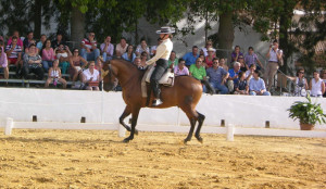 El caballo será el gran protagonista este fin de semana en Moguer.