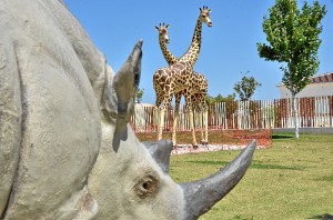 Las dos jirafas se suman a otra escultura de un rinoceronte. 