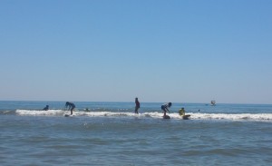 Los pequeños surfistas tuvieron que emplearse a fondo para conseguir olas 