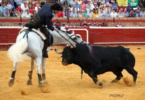 Otra de las faenas de la tarde. / Foto: Pedro Delgado.