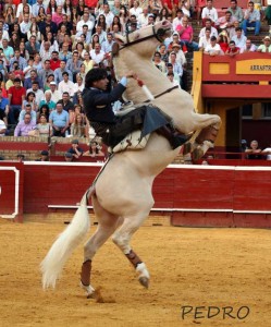 El público ha disfrutado de la tarde. / Foto: Pedro Delgado.