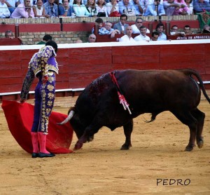 Alejandro Talavante, de nazareno y oro, dos pinchazos y estocada, palmas; estocada y dos descabellos, silencio./ Foto: Pedro Delgado.