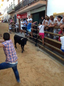 Imagen de las Capeas celebradas este sábado en Beas.