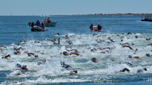 Más de 200 nadadores en la Travesía del Río Guadiana. / Foto: J. L. Rúa.