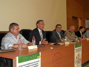 El presidente de la Diputación, Ignacio Caraballo, en su instante de su intervención