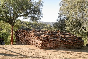 El corcho es el producto estrella de ADEHECO Huelva.