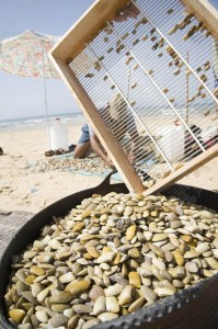 Marisqueo en el litoral onubense.