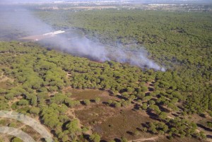 Imagen del incendio en Cartaya.