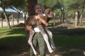 Desde muy pequeño se ha dedicado al cuidado y crianza de animales.