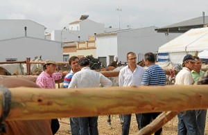 Imágenes de la I Feria de Ganado de Bollullos del Condado.